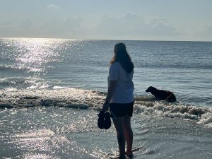 Beach Dog