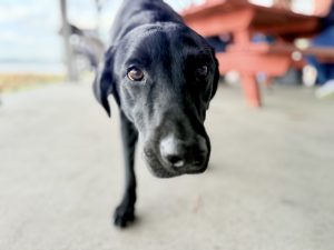 IMG_9060